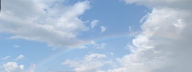 鵺桜胡桃さんの壁紙画像