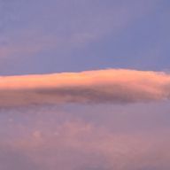 凛裏さんのアイコン画像