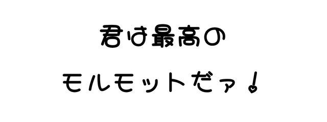 にりんそう@最高のモルモットさんの壁紙画像