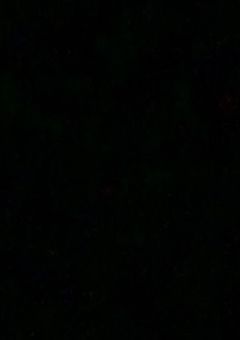 投稿している小説のお知らせ 。