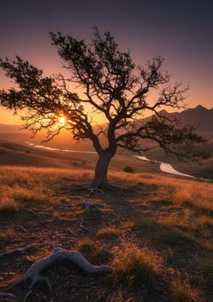 5JPは人の役に立ちたい！！！