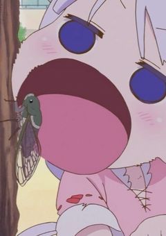 　　　✧　　検  索  履  歴　．
