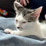 ゆかさんのアイコン画像