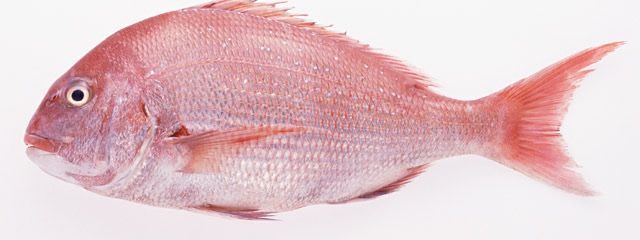 呪いさんの壁紙画像