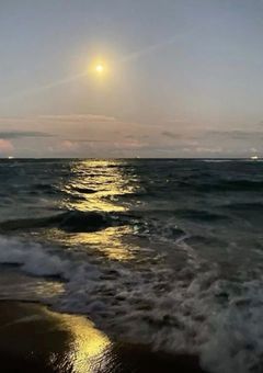 海が預かった君