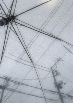 いろんな反応集