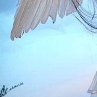 ㅤㅤㅤぃぅぇㅤㅤㅤさんのアイコン画像