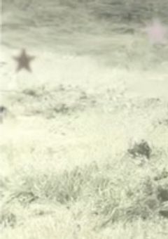 うかちゃんの部屋