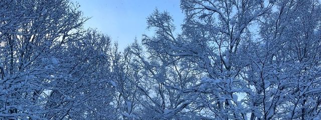 こはくとうのかけら@投稿激減さんの壁紙画像