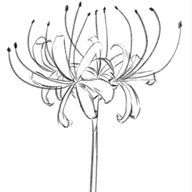 花黒　さんのアイコン画像