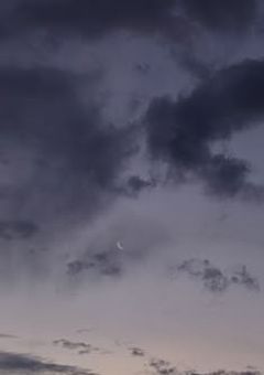 リスカの写真、リアル写真とか