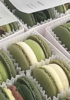 " ᴄʜᴀᴛ ʀᴏᴏᴍ "