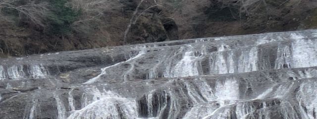 FTさんの壁紙画像