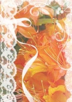 君と僕の物語