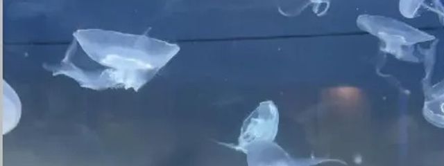 Aetherさんの壁紙画像