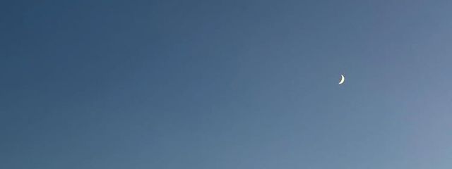sanaさんの壁紙画像