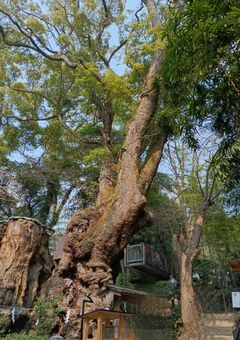 m/m/m/rのてぇてぇ日常