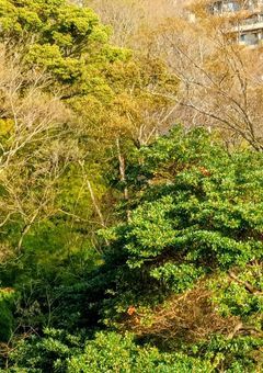 m/m/m/r/体調不良，病み，バース短編集