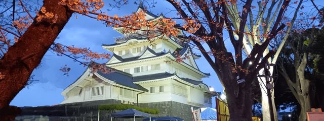 雪菜@スマホ帰還さんの壁紙画像