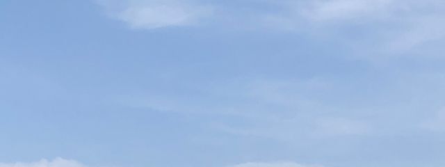 茉莉花さんの壁紙画像