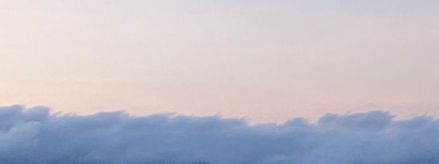 椛ノ猫さんの壁紙画像