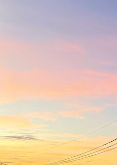 「WIND BREAKER」私たちの青い日々。