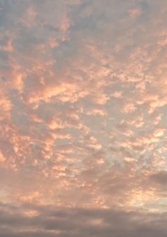 第二回関係者様募集!!!《〆》