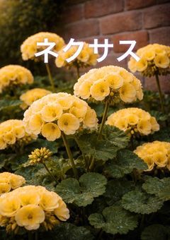 ネクサス  🌷🍗