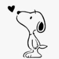 りん　このアカウントでも更新はもうできないですさんのアイコン画像