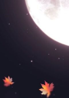 奴隷の僕、仲間として購入されました。