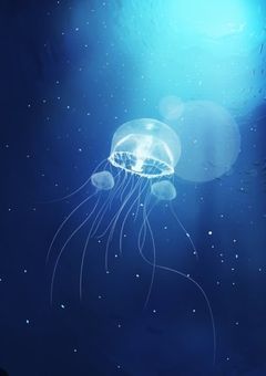 ---自由さに惹かれ---