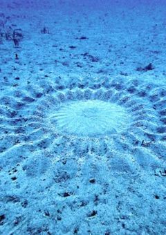 ---"This love is abnormal"---