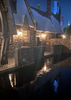 ユニバに行ったら、何故かハリーポッターの世界にトリップしていた件