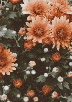 私が恋をしたのは病院の先生でした?!