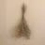 mrnさんのアイコン画像