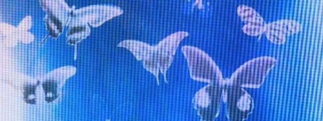 Hikariさんの壁紙画像