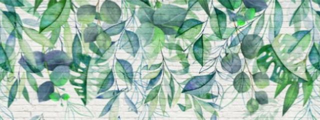 蜜柑☁️さんの壁紙画像