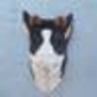 ミキスさんのアイコン画像