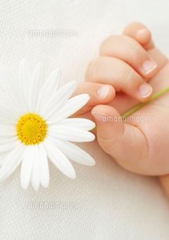 目黒家の天使達