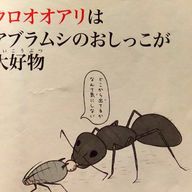 見る専のAさんのアイコン画像