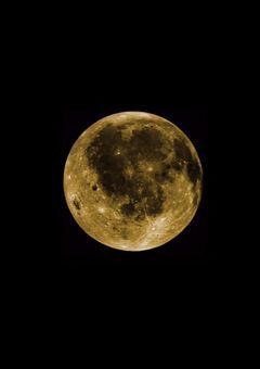 戻ってきました！