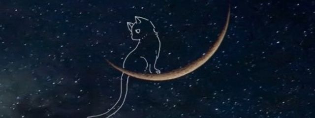 ·̩͙꒰ঌ*𝕊𝕪𝕦𝕣𝕒*໒꒱·̩͙さんの壁紙画像