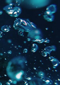 ‪”‬タスケテ‪”‬が言えない黒猫さん。【ntjo組】