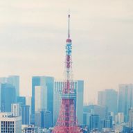 Mさんのアイコン画像