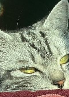 おはなししよう