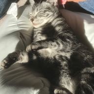 み　る　く　て　ぃさんのアイコン画像