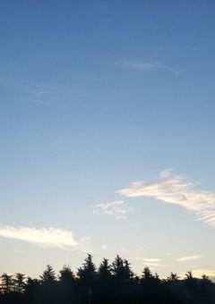 もしも自分が🌈🕒に入ったら選手権