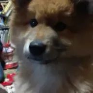 ばななチョコレートさんのアイコン画像