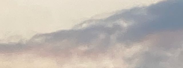 さらさんの壁紙画像