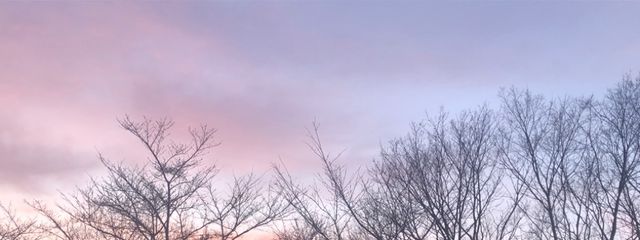 優里花~𝒀𝑼𝑹𝑰𝑲𝑨~さんの壁紙画像